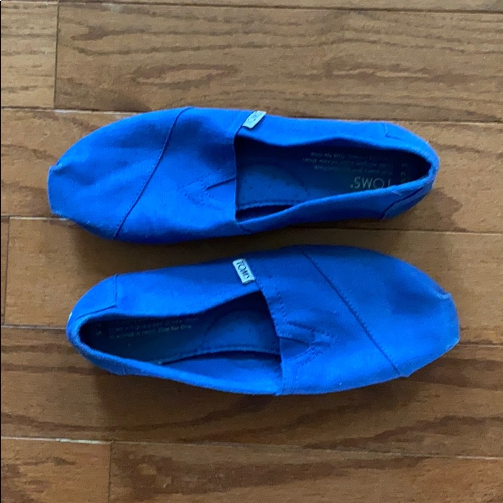 Canvas Blue Toms Shoes